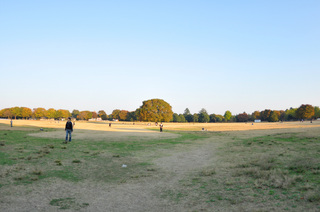 _DSC0100.JPG