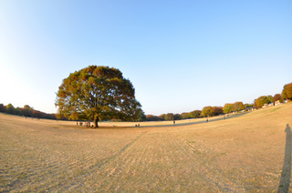 _DSC0119.JPG