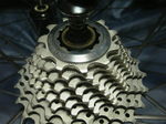 V9040284.JPG